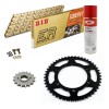 KIT DE TRANSMISION DID 520ERVT ORO KTM Enduro 250 90