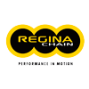 Regina motorcycle chains